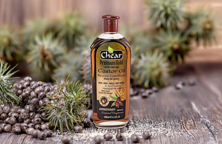 Simple Ways to Care for Dry Hair with Chear Castor Oil