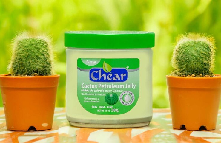 Chear Cactus Petroleum Jelly Skin Moisturiser